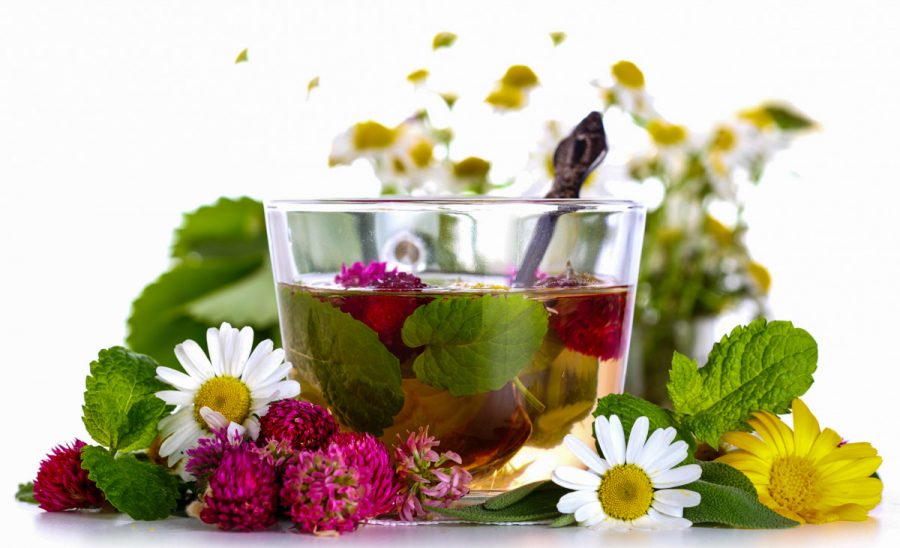 Фитобар в санатории - фотография