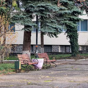 Территория санатория «Вернер» в г. Ессентуки - фотография