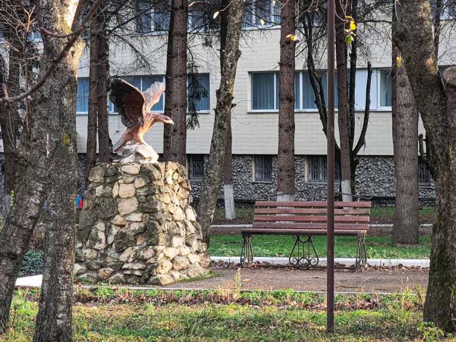 Территория санатория «Вернер» в г. Ессентуки - фотография