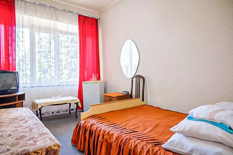 Однокомнатный двухместный номер Стандарт в санатории «Вернер» в г. Ессентуки - фотография