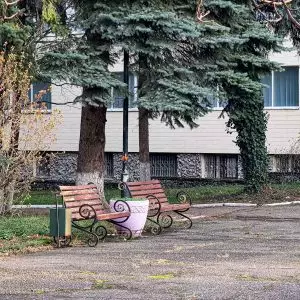 Территория санатория «Вернер» в г. Ессентуки - фотография